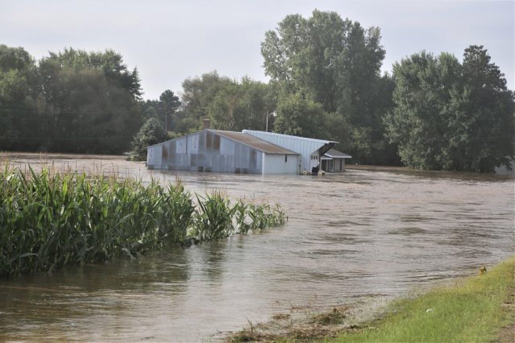 Flood Remediation 2 Flood Remediation Services