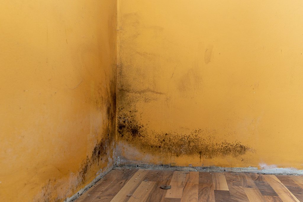 Drywall Water Damage 2 Drywall Water Damage Services