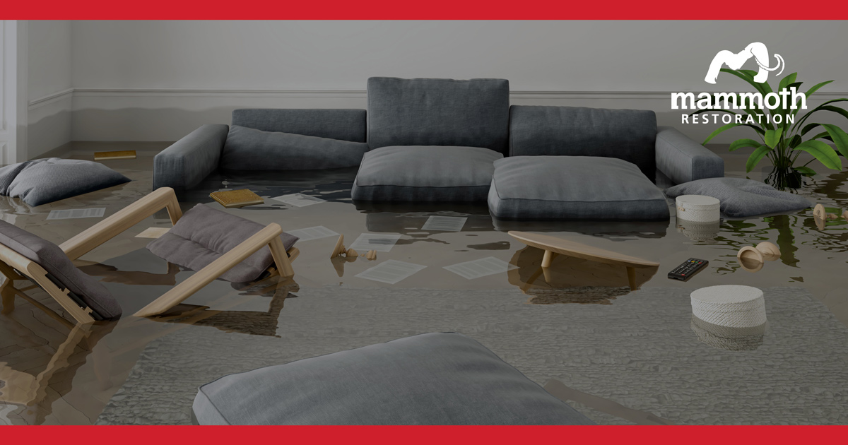 Water Damage Services, Water Damage,