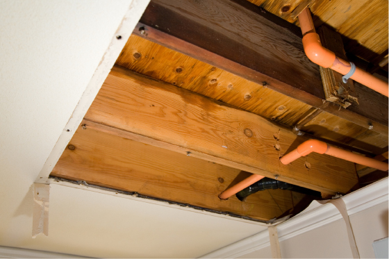 Crawl Space Mold Remediation 2 Crawl Mold Remediation