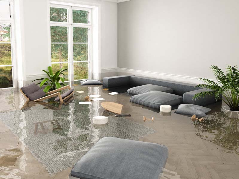 Mitigation Companies 2 Mitigation Cleaning Services